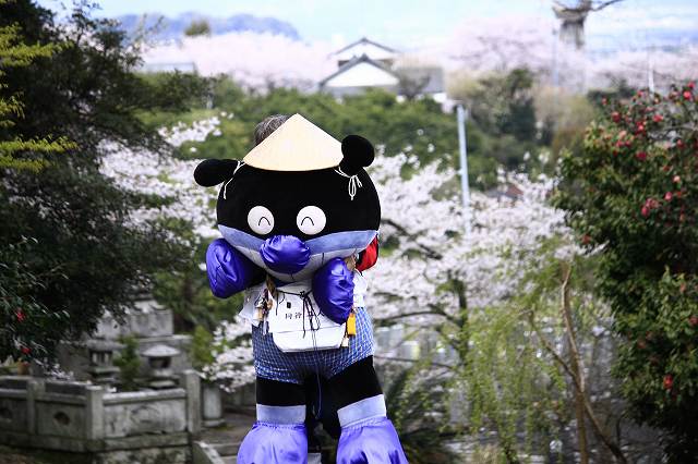 4月6日 逆打ちお遍路65番札所・64番札所_a0045932_16048.jpg