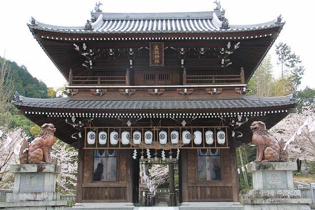 4月6日 逆打ちお遍路65番札所・64番札所_a0045932_161887.jpg