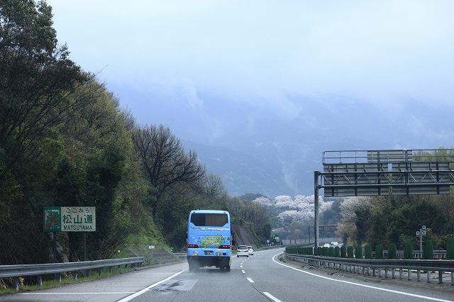 4月6日 逆打ちお遍路65番札所・64番札所_a0045932_229935.jpg