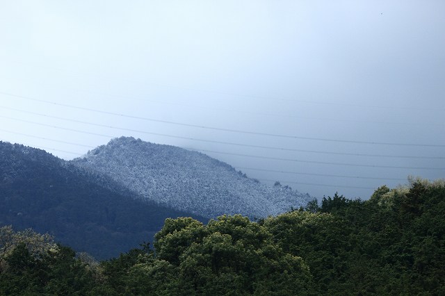 4月6日 逆打ちお遍路65番札所・64番札所_a0045932_23224453.jpg