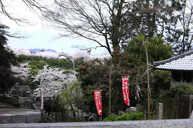 4月6日 逆打ちお遍路65番札所・64番札所_a0045932_105419100.jpg