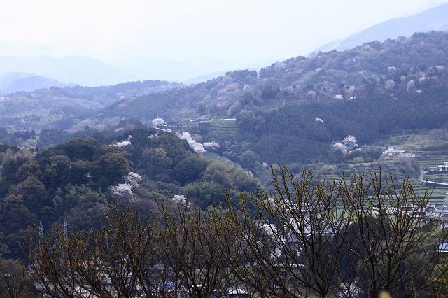 4月6日 逆打ちお遍路65番札所・64番札所_a0045932_9405015.jpg