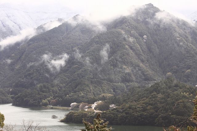 4月6日 60番札所・横峰寺 _a0045932_19475438.jpg