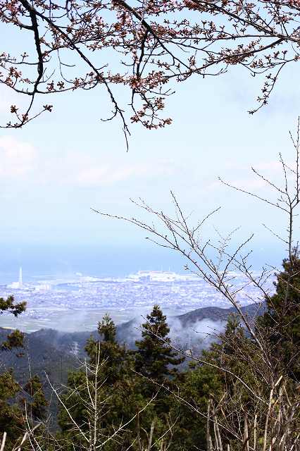 4月6日 60番札所・横峰寺 _a0045932_1949481.jpg