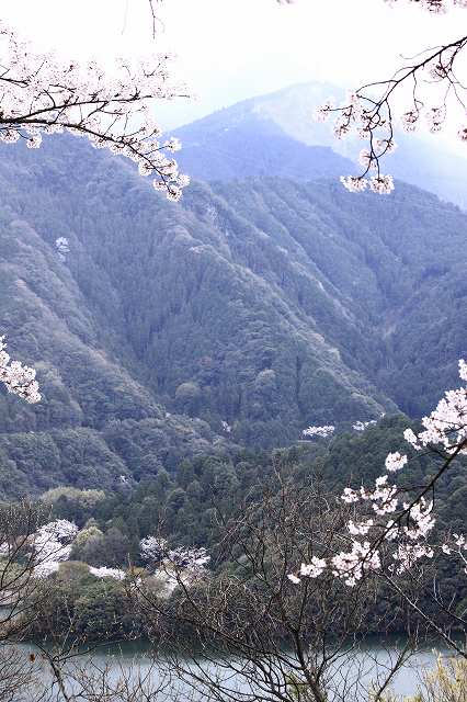 4月6日 60番札所・横峰寺 _a0045932_19574194.jpg