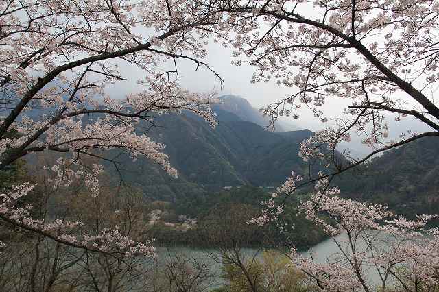 4月6日 60番札所・横峰寺 _a0045932_19582820.jpg