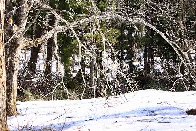 4月24日 岡山県立森林公園_a0045932_20421313.jpg
