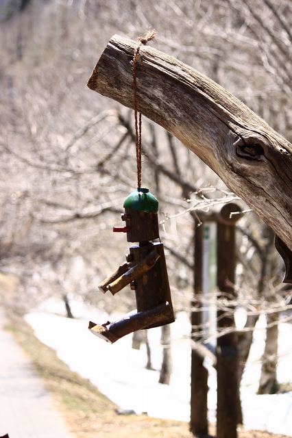 4月24日 岡山県立森林公園_a0045932_20422584.jpg