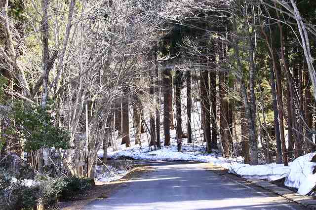 4月24日 岡山県立森林公園_a0045932_2042374.jpg