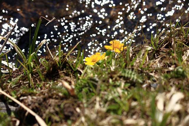4月24日 岡山県立森林公園_a0045932_20432143.jpg