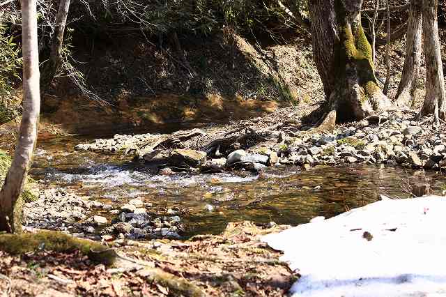 4月24日 岡山県立森林公園_a0045932_20435051.jpg