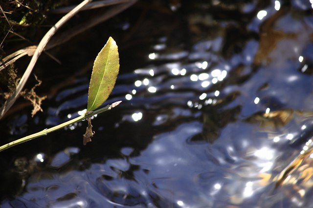4月24日 岡山県立森林公園_a0045932_20443892.jpg