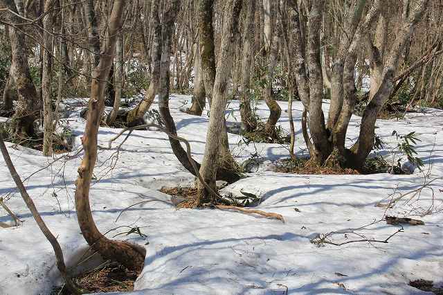 4月24日 岡山県立森林公園_a0045932_20561931.jpg