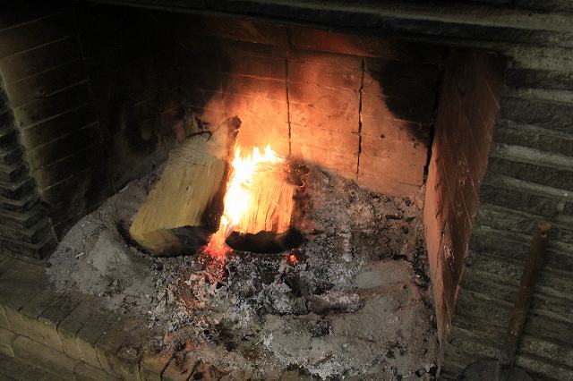 4月24日 岡山県立森林公園_a0045932_2153042.jpg