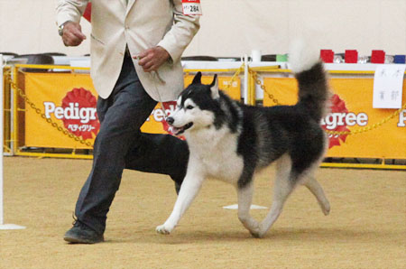 ♪ ユアン 奈良県クラブ連合会展 ♪_c0161772_22301885.jpg