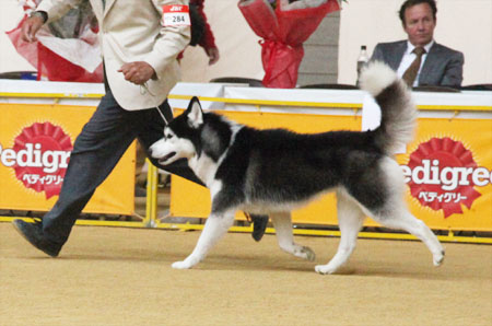 ♪ ユアン 奈良県クラブ連合会展 ♪_c0161772_2230835.jpg