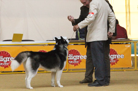 ♪ ユアン 奈良県クラブ連合会展 ♪_c0161772_2232298.jpg