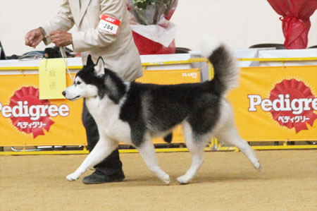 ♪ ユアン 奈良県クラブ連合会展 ♪_c0161772_22325121.jpg