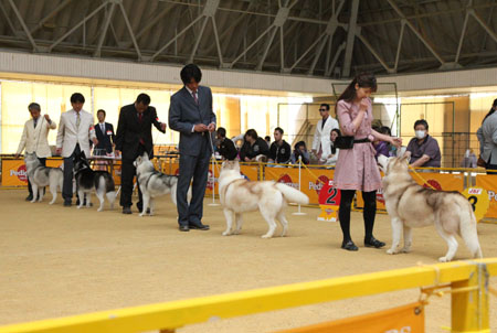 ♪ ユアン 奈良県クラブ連合会展 ♪_c0161772_22333075.jpg