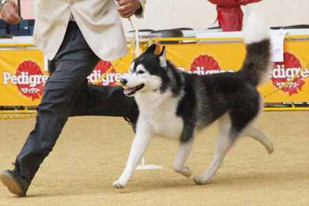 ♪ ユアン 奈良県クラブ連合会展 ♪_c0161772_2233424.jpg