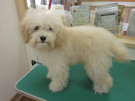 劇的before and after_c0185207_21173264.jpg