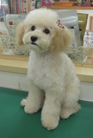 劇的before and after_c0185207_21222298.jpg