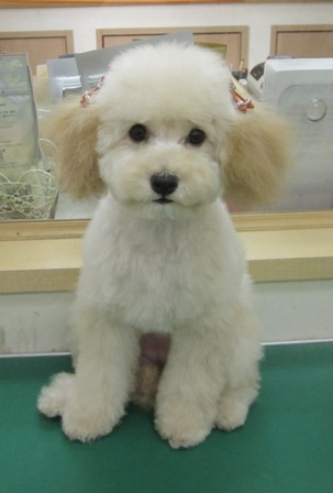 劇的before and after_c0185207_2123094.png