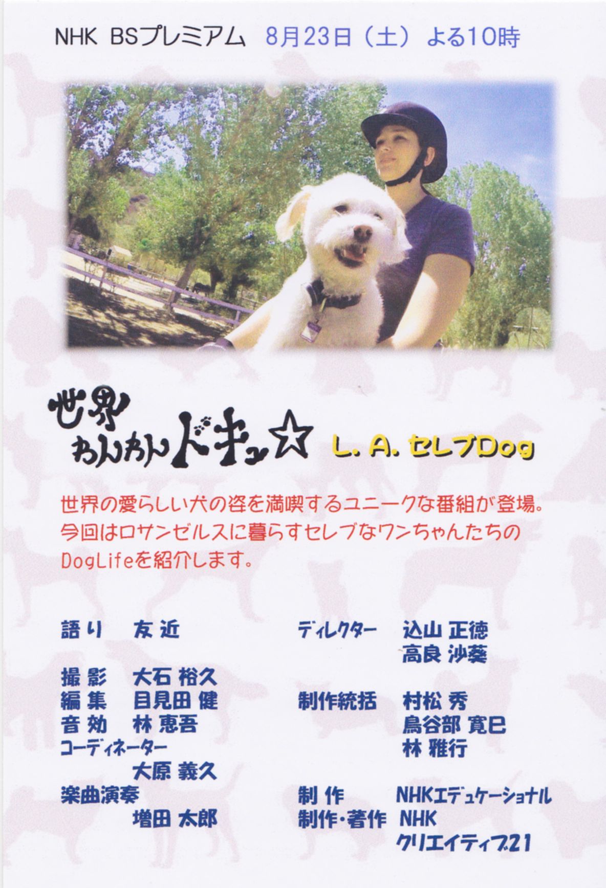 世界わんわんドキュ☆ L.A.サイコー!_a0134371_20394653.jpg