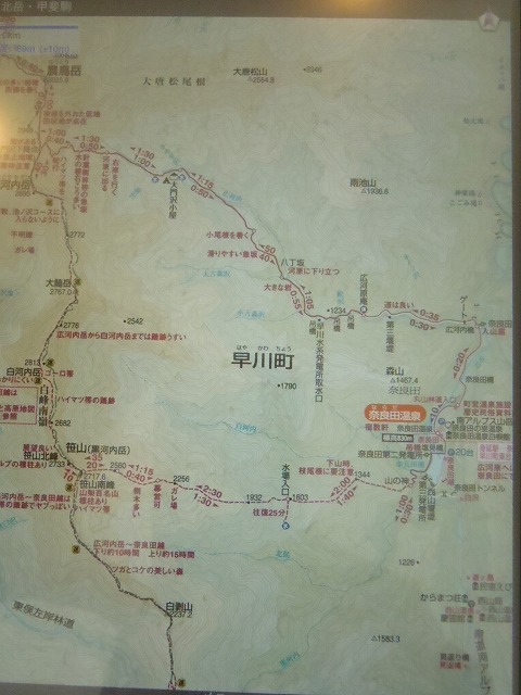 白峰南陵 地味だけど超キツイ笹山ダイレクト尾根!_c0147398_19293429.jpg