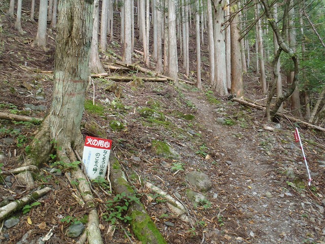 白峰南陵 地味だけど超キツイ笹山ダイレクト尾根!_c0147398_19373148.jpg