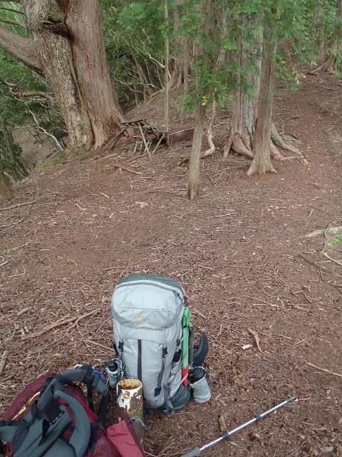 白峰南陵 地味だけど超キツイ笹山ダイレクト尾根!_c0147398_1939862.jpg