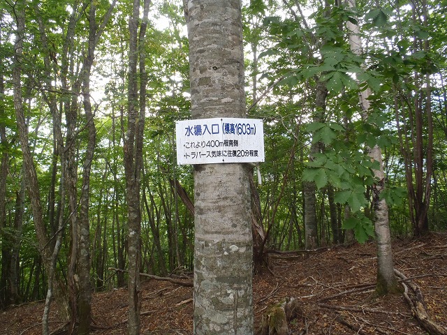 白峰南陵 地味だけど超キツイ笹山ダイレクト尾根!_c0147398_19411571.jpg