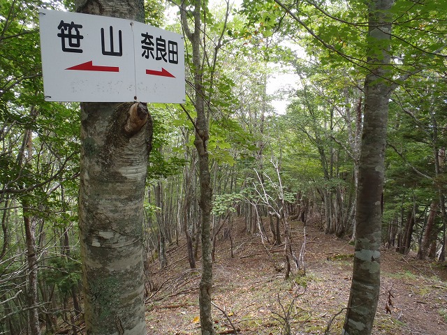 白峰南陵 地味だけど超キツイ笹山ダイレクト尾根!_c0147398_19412464.jpg