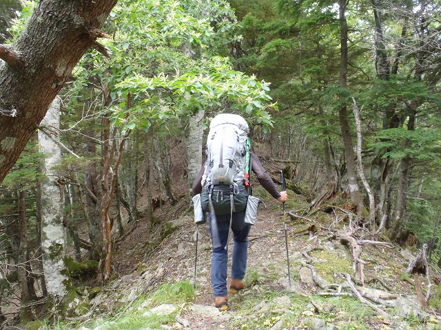 白峰南陵 地味だけど超キツイ笹山ダイレクト尾根!_c0147398_19422358.jpg