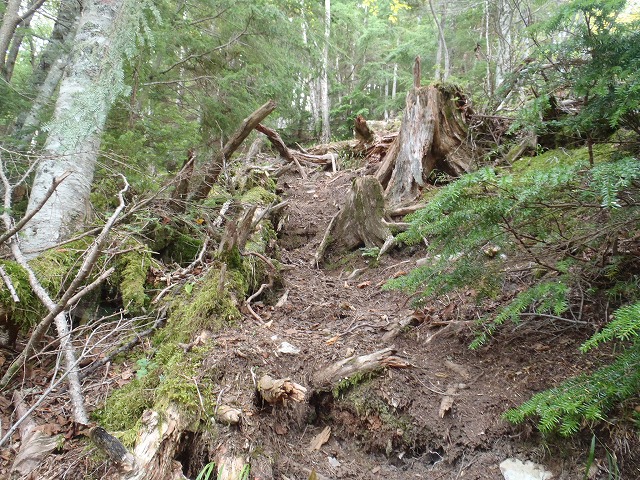 白峰南陵 地味だけど超キツイ笹山ダイレクト尾根!_c0147398_19424195.jpg