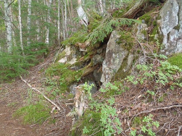 白峰南陵 地味だけど超キツイ笹山ダイレクト尾根!_c0147398_19425182.jpg