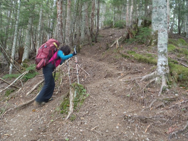 白峰南陵 地味だけど超キツイ笹山ダイレクト尾根!_c0147398_19431895.jpg