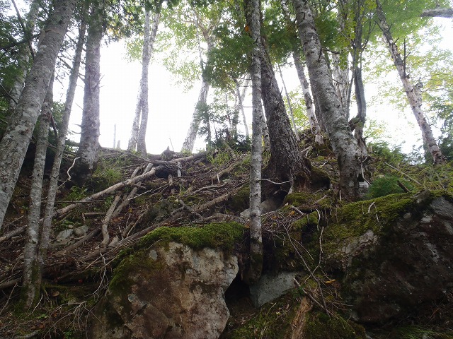 白峰南陵 地味だけど超キツイ笹山ダイレクト尾根!_c0147398_19442855.jpg