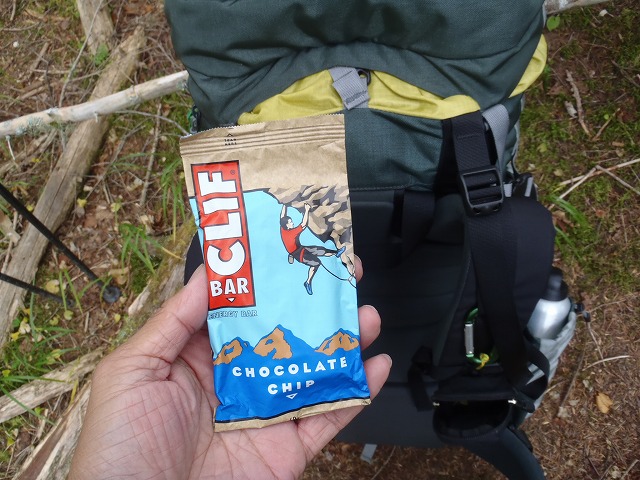 白峰南陵 地味だけど超キツイ笹山ダイレクト尾根!_c0147398_19454317.jpg