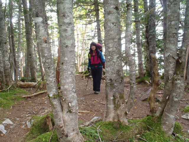 白峰南陵 地味だけど超キツイ笹山ダイレクト尾根!_c0147398_19464164.jpg