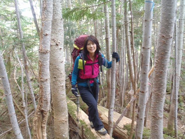 白峰南陵 地味だけど超キツイ笹山ダイレクト尾根!_c0147398_19481451.jpg