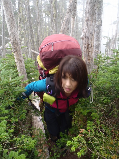 白峰南陵 地味だけど超キツイ笹山ダイレクト尾根!_c0147398_19502449.jpg