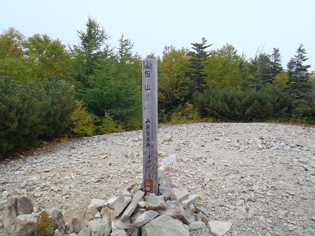 白峰南陵 地味だけど超キツイ笹山ダイレクト尾根!_c0147398_1951647.jpg