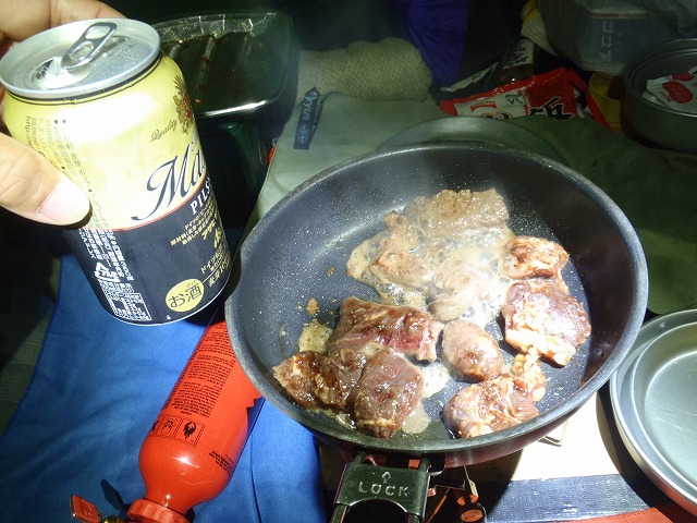 白峰南陵 地味だけど超キツイ笹山ダイレクト尾根!_c0147398_19583170.jpg