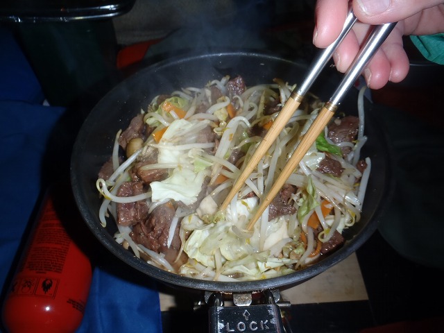 白峰南陵 地味だけど超キツイ笹山ダイレクト尾根!_c0147398_19584120.jpg