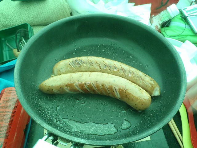 白峰南陵 地味だけど超キツイ笹山ダイレクト尾根!_c0147398_2013332.jpg