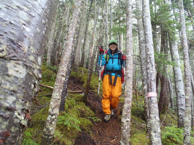 白峰南陵 地味だけど超キツイ笹山ダイレクト尾根!_c0147398_2022988.jpg