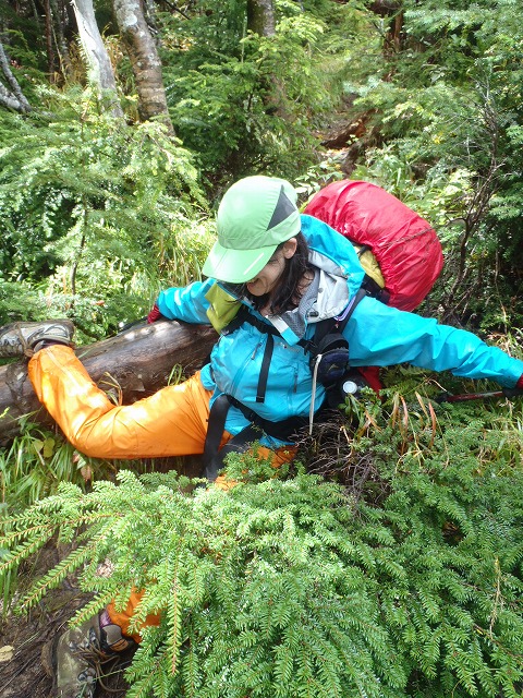 白峰南陵 地味だけど超キツイ笹山ダイレクト尾根!_c0147398_2031951.jpg
