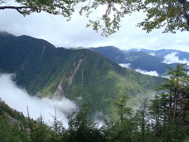 白峰南陵 地味だけど超キツイ笹山ダイレクト尾根!_c0147398_2035029.jpg