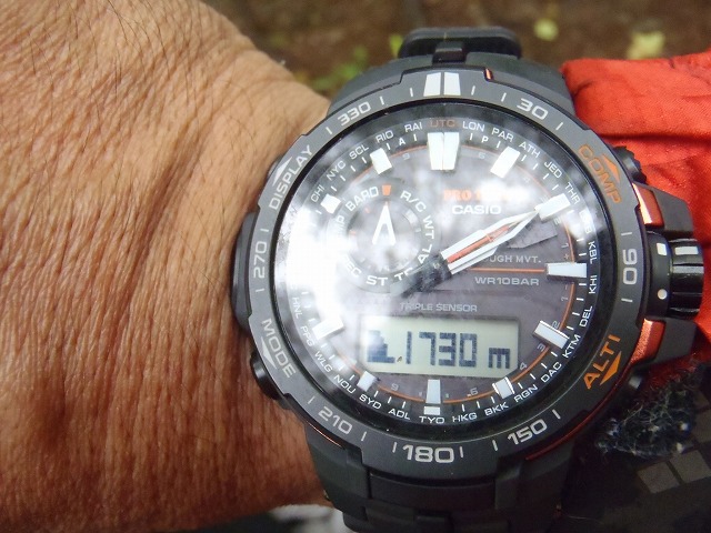 白峰南陵 地味だけど超キツイ笹山ダイレクト尾根!_c0147398_2041292.jpg